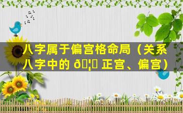 八字属于偏宫格命局（关系八字中的 🦆 正宫、偏宫）